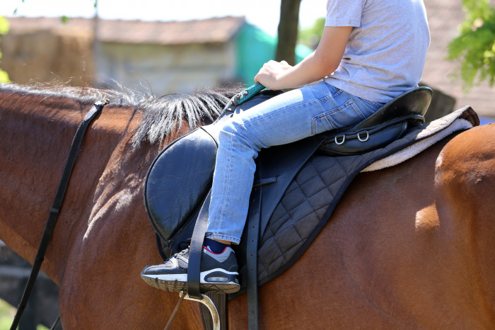 Click here to access the used saddles for sale at Equitack :