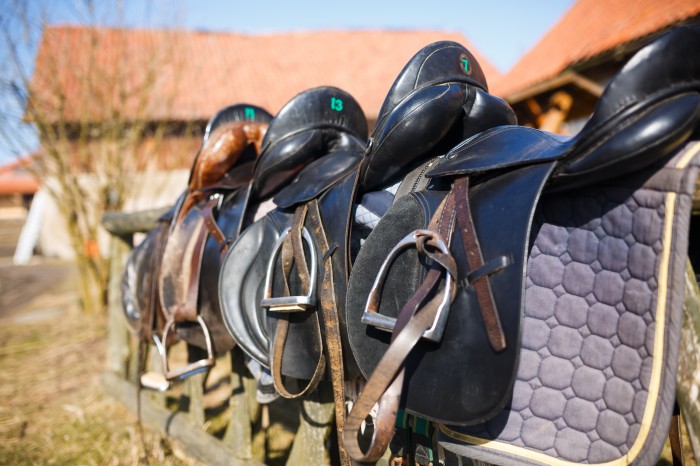 Find the perfect fit for your horse